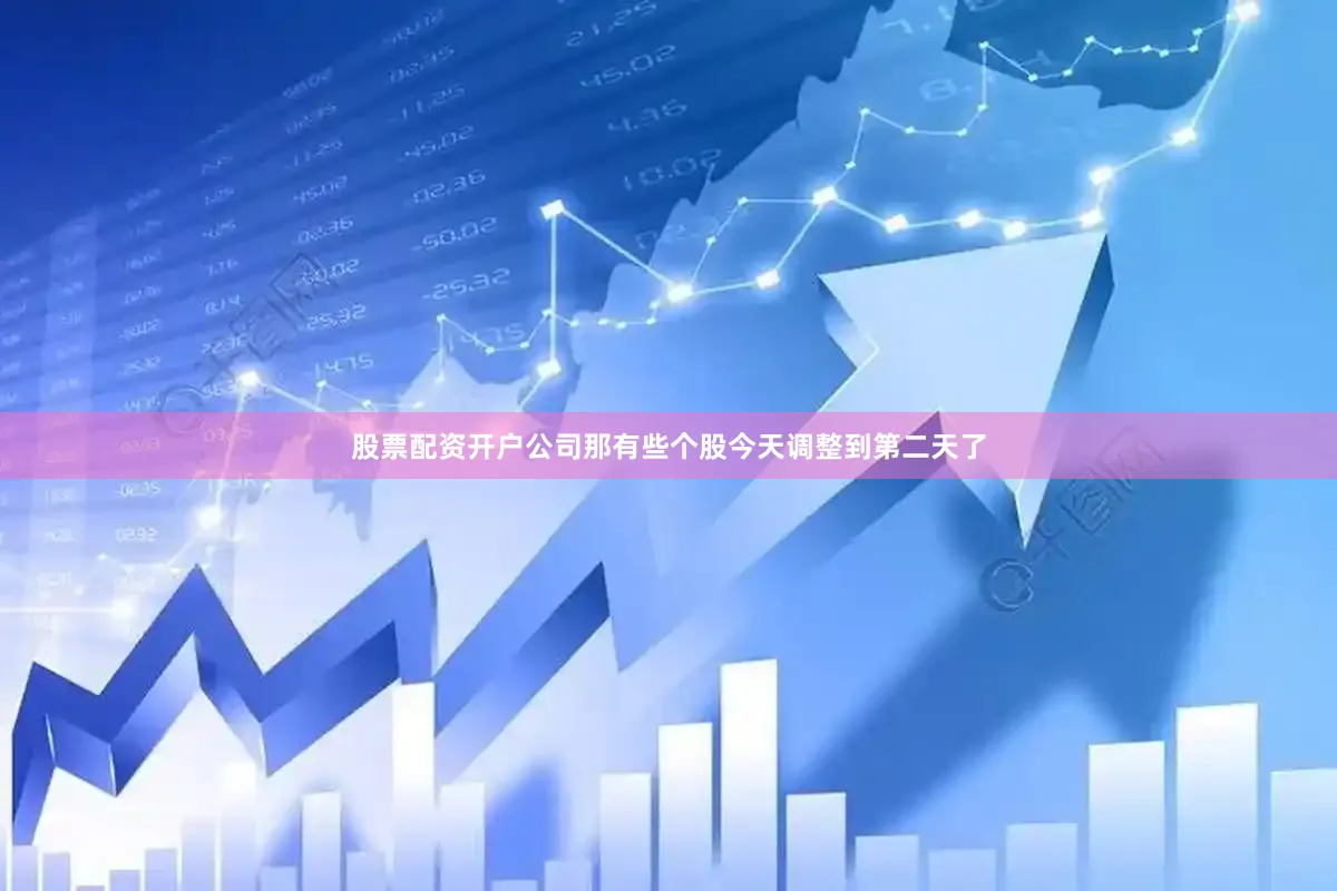 股票配资开户公司那有些个股今天调整到第二天了
