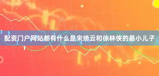配资门户网站都有什么是宋绮云和徐林侠的最小儿子