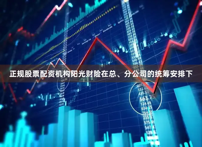 正规股票配资机构阳光财险在总、分公司的统筹安排下