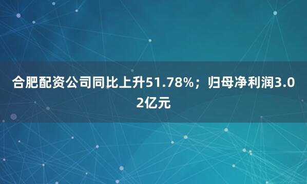 合肥配资公司同比上升51.78%；归母净利润3.02亿元