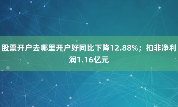 股票开户去哪里开户好同比下降12.88%;扣非净利润1.16亿元