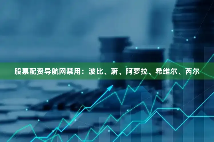 股票配资导航网禁用：波比、蔚、阿萝拉、希维尔、芮尔