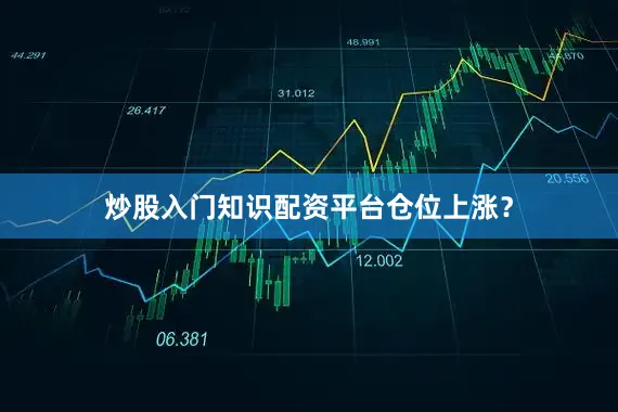 炒股入门知识配资平台仓位上涨？