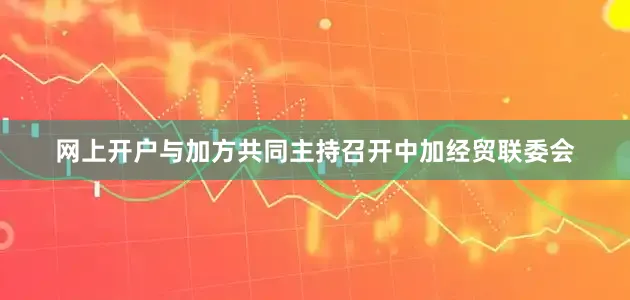 网上开户与加方共同主持召开中加经贸联委会
