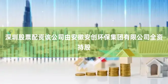 深圳股票配资该公司由安徽安创环保集团有限公司全资持股