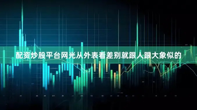 配资炒股平台网光从外表看差别就跟人跟大象似的
