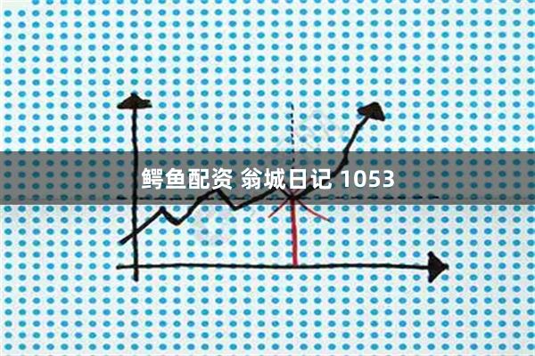 鳄鱼配资 翁城日记 1053